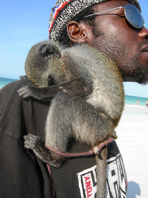 Coppia da Spiaggia a Zanzibar di Monica_Saba