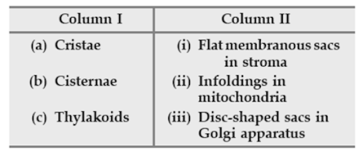 Cell Organelles