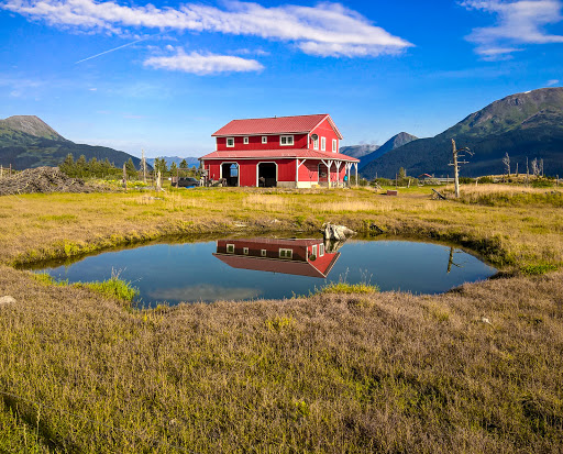 13 WP_20150806_09_19_49_Rich.jpg - For many animals rescued by Alaska Wildlife Conservation Center, this is home