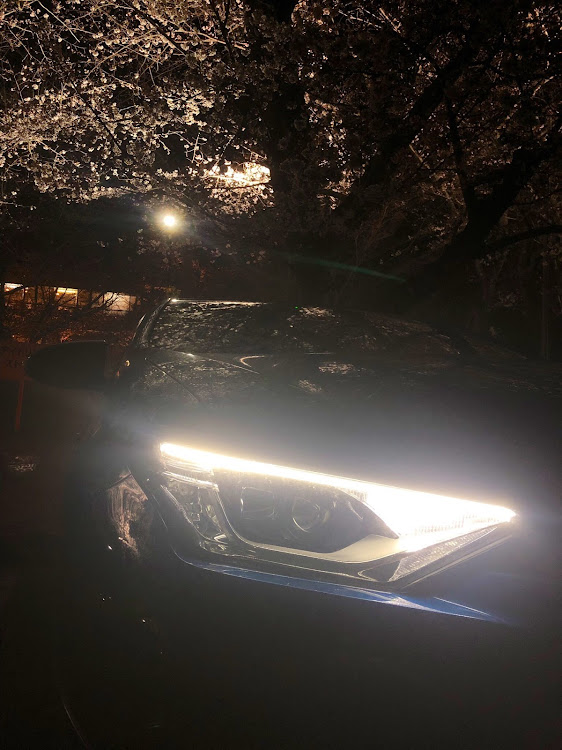 オーリスのドライブ・桜と愛車・ライトアップに関するカスタム事例の投稿画像2枚目