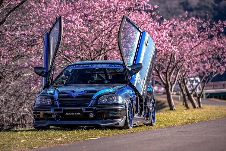 シビックの河津桜・一眼レフ・3月もよろしくお願いします・花粉症・discover＿ctに関するカスタム事例の投稿画像7枚目