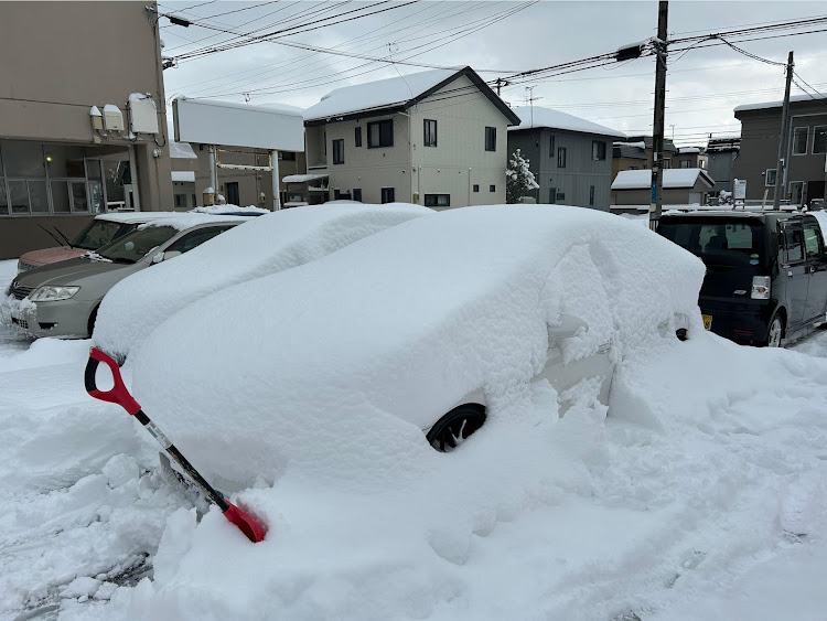 の投稿画像1枚目