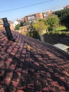 Roof Cleaning with NO pressure washing album cover