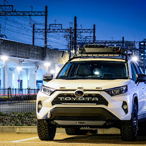 RAV4 MXAA52