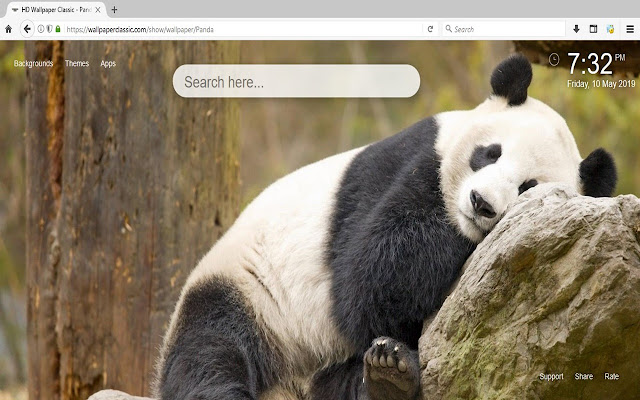 Panda HD Wallpapers New Tab Theme