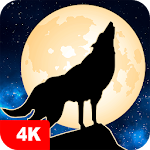 Cover Image of Tải xuống Wolf Wallpapers 4K 5.0.52 APK