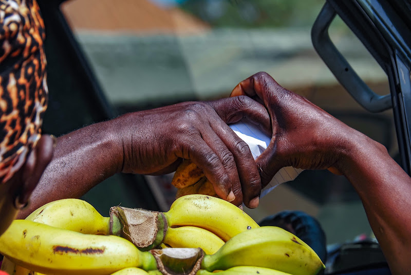 Compro le banane di bennardo