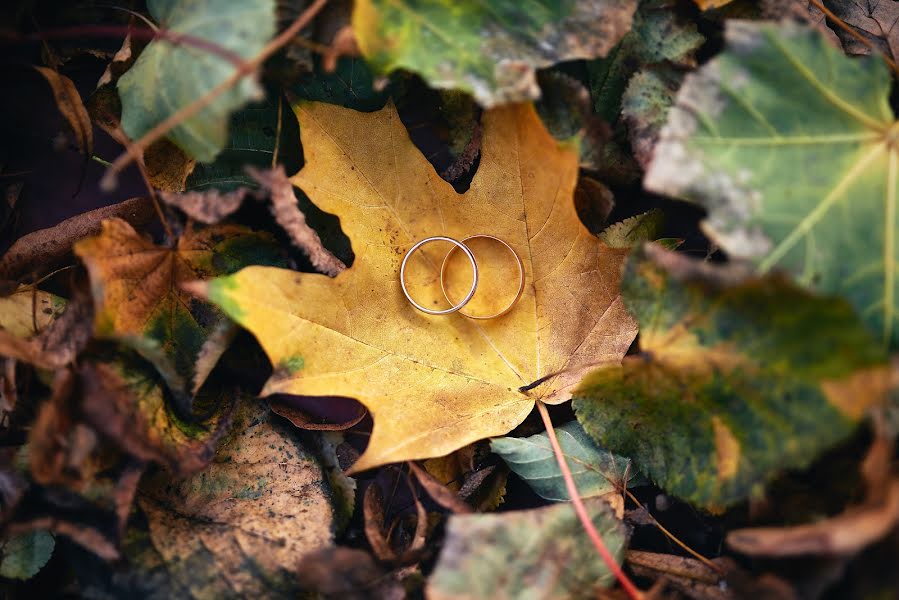 Fotógrafo de bodas Andrey Drozdov (adeo). Foto del 19 de octubre 2015