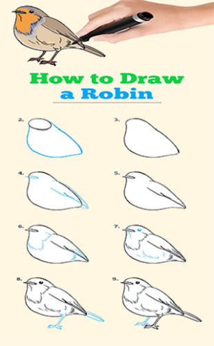 Preuzmi How To Draw Birds Apk Najnoviju Verziju App Od