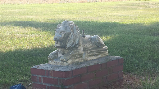 Laytonsville's Golden Lion