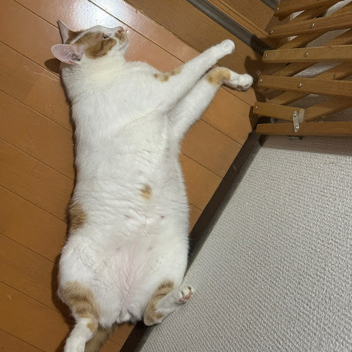 シルバーのプロフィール画像