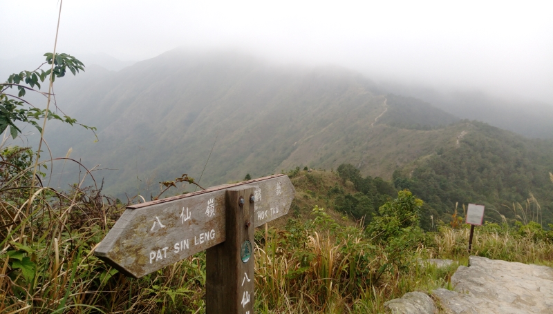 犁壁山黃嶺