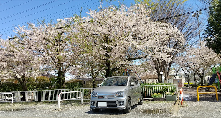 アルトワークスのサクラコラボ🌸・葉桜でも気にしなーいに関するカスタム事例の投稿画像3枚目