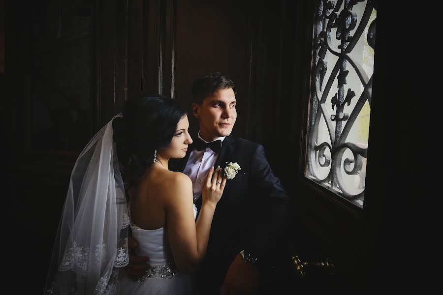 Wedding photographer Svetlana Sokolova (sokolovasvetlana). Photo of 25 December 2014