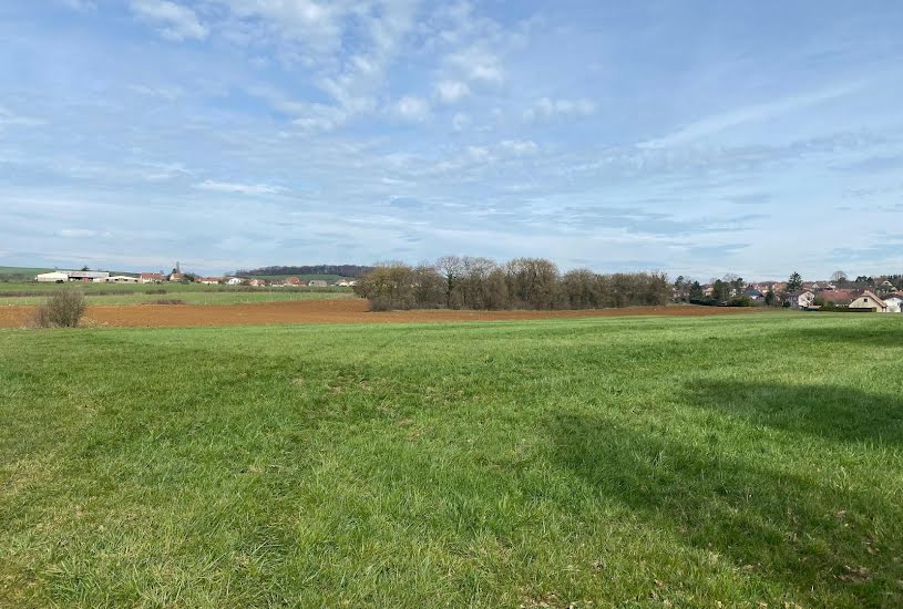  Vente Terrain + Maison - Terrain : 670m² - Maison : 72m² à Beauvoir-sur-Niort (79360) 