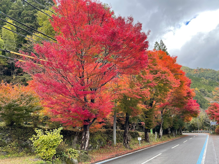 はやぽんさんが投稿したピクシスバン・久万高原町・面河渓・紅葉狩り・水田商店に関するカスタム事例の投稿画像2枚目