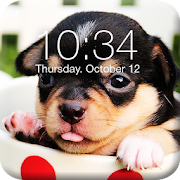 Chihuahua Screen Lock  Icon