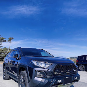 RAV4 MXAA54