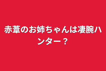 「赤葦のお姉ちゃんは凄腕ハンター？」のメインビジュアル