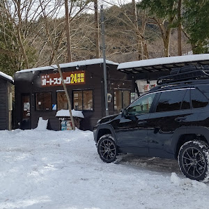 RAV4 MXAA54