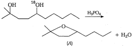 Substitution reaction (Organic Chemistry-Some Basic Principles and Techniques) (Chemistry) (Class 11)