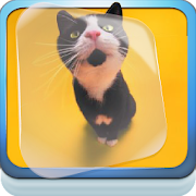 Kittens Dancing Live Wallpaper  Icon