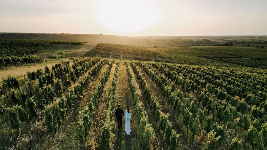 Fotógrafo de casamento Nikola Segan (nikolasegan). Foto de 10 de dezembro 2023