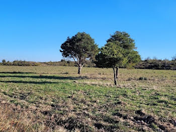 terrain à Saint-Estève (66)