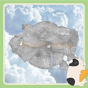 Túi Bóng Lót Chuồng Co Giãn