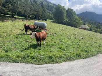 terrain à Le petit-bornand-les-glieres (74)