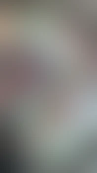 味方じゃないの？