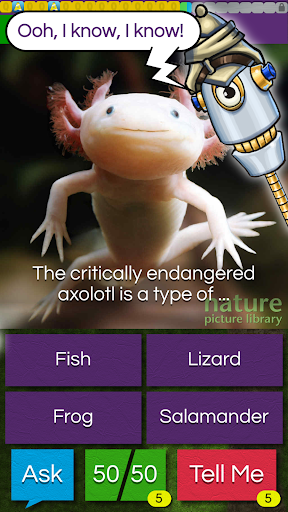 QuizTix: Animal Pics Quiz