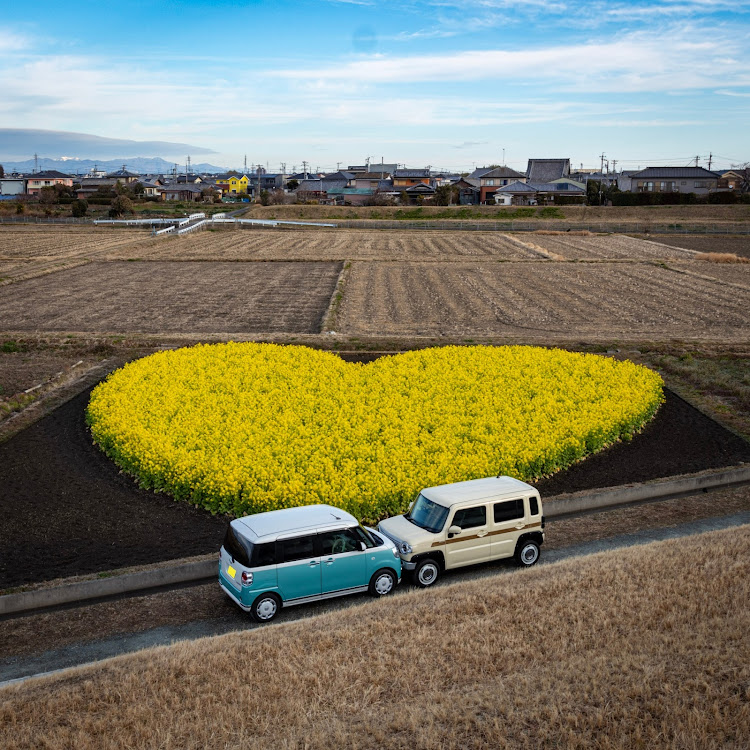 の投稿画像5枚目