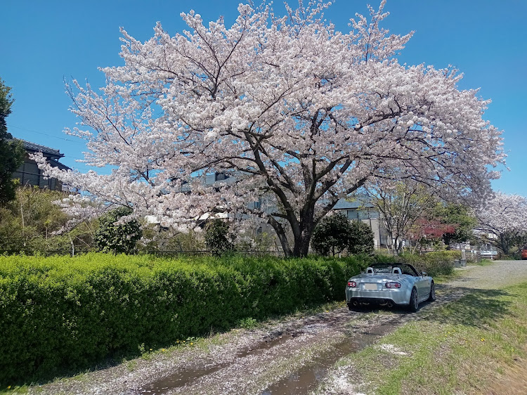 の投稿画像2枚目