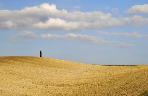 sete  di utente cancellato