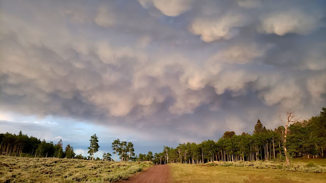 Mammatus clouds to the north