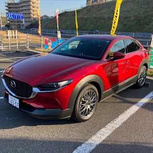 CX-30 DMEP