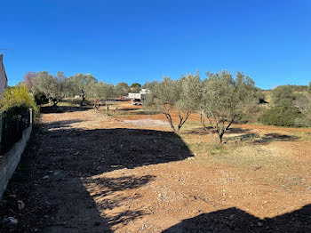 maison neuve à Cournonterral (34)