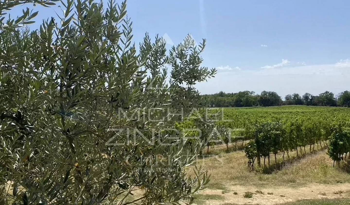 Vineyard with pool Aix-en-Provence