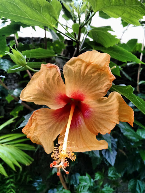 L_nWMYY1KZ69SWtOnVKI2nnr6jpoB7acMV0eMS2Zejw=w508-h677-no