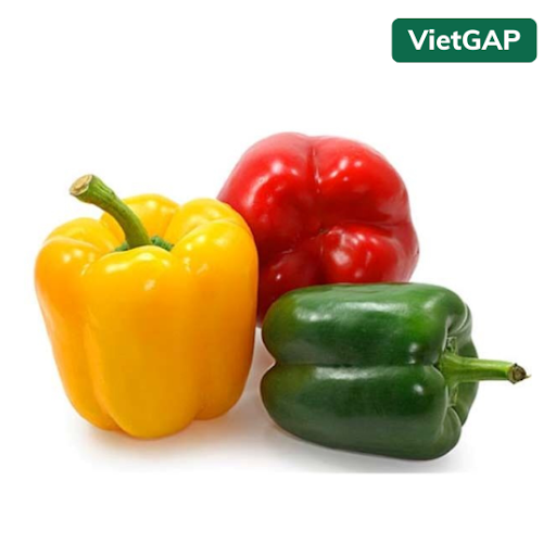 Ớt chuông nhiều màu VG Đà Lạt