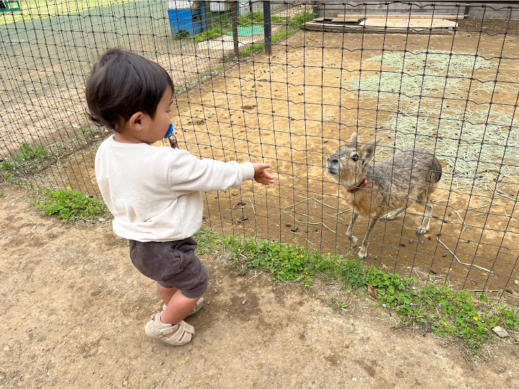 の投稿画像10枚目