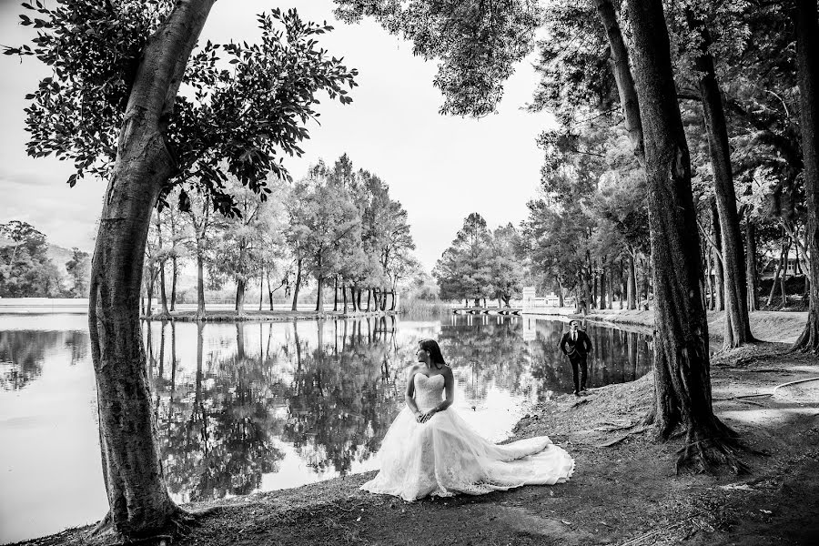 Wedding photographer Paulina Aramburo (aramburo). Photo of 15 May 2019