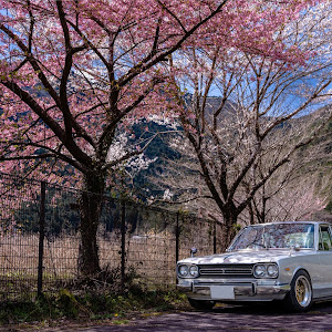 スカイライン GC10