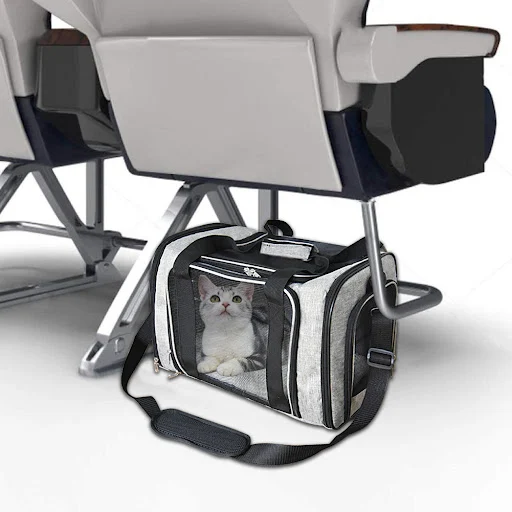 Travel Dog Carrier Bag Cat Bags Portable Mesh Breathable Handbag Foldable Transport Bag for Small Dogs Cats Outgoing