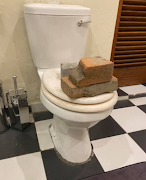 The snake was trapped inside the toilet by placing several bricks on the lid, preventing it from coming out. 