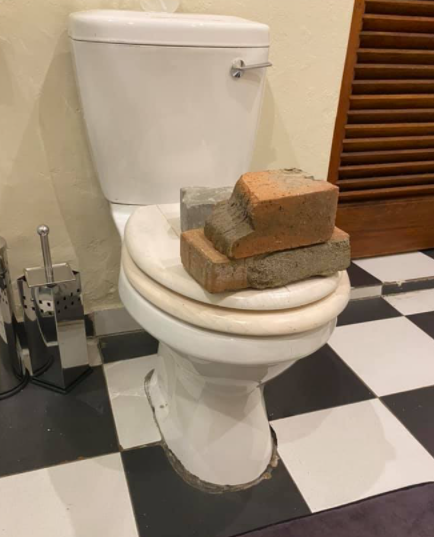 The snake was trapped inside the toilet by placing several bricks on the lid, preventing it from coming out.