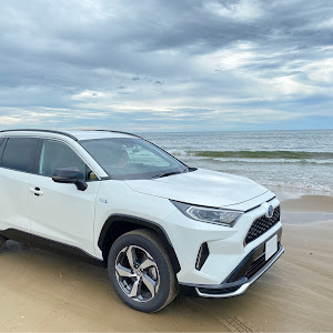 RAV4 AXAP54