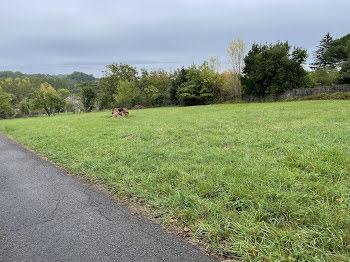 terrain à Cognac (16)