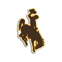 University of Wyoming Theme Chrome extension download